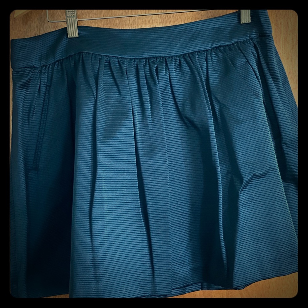 Gorgeous Banana Republic Skirt!  NWT